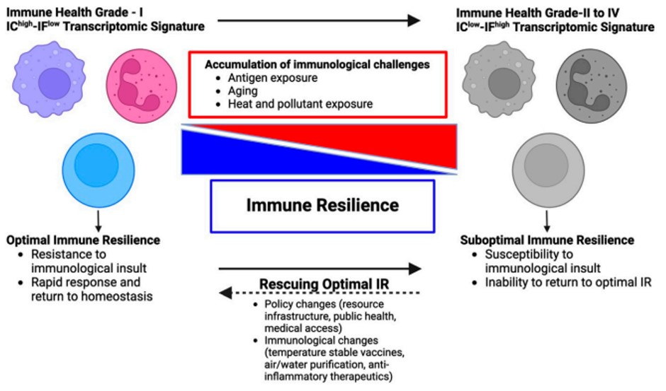 Immune Health