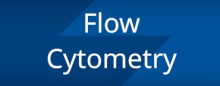 Flow Cyt title block