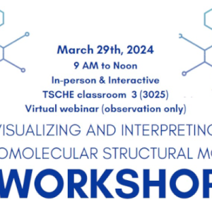 2024 Vis and Interp Macromolecular Structural Models